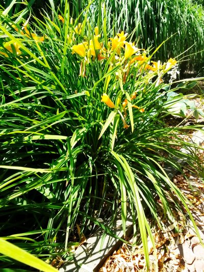 Wojsławickie Klimaty - galeria zdjęć